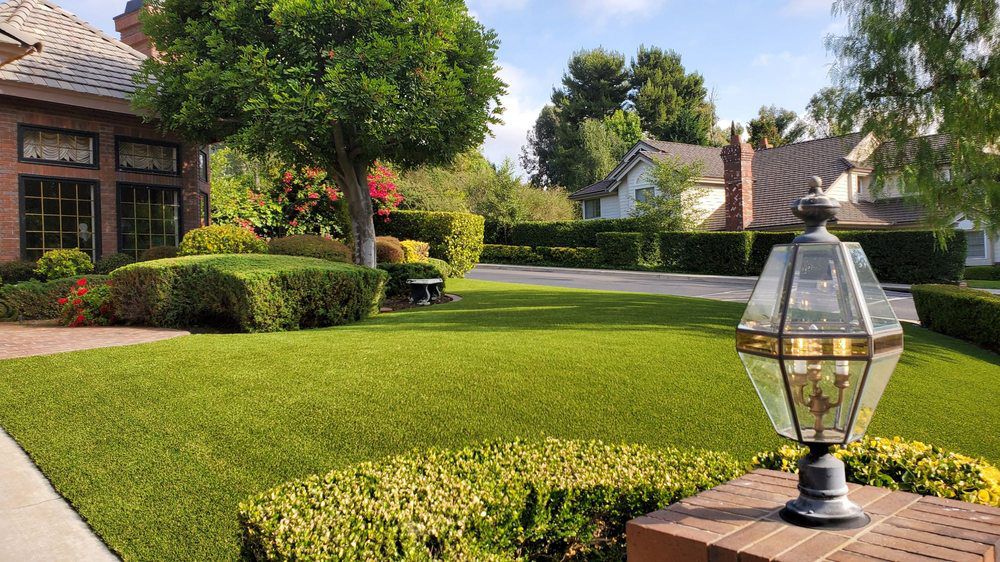 Artificial grass front yard.