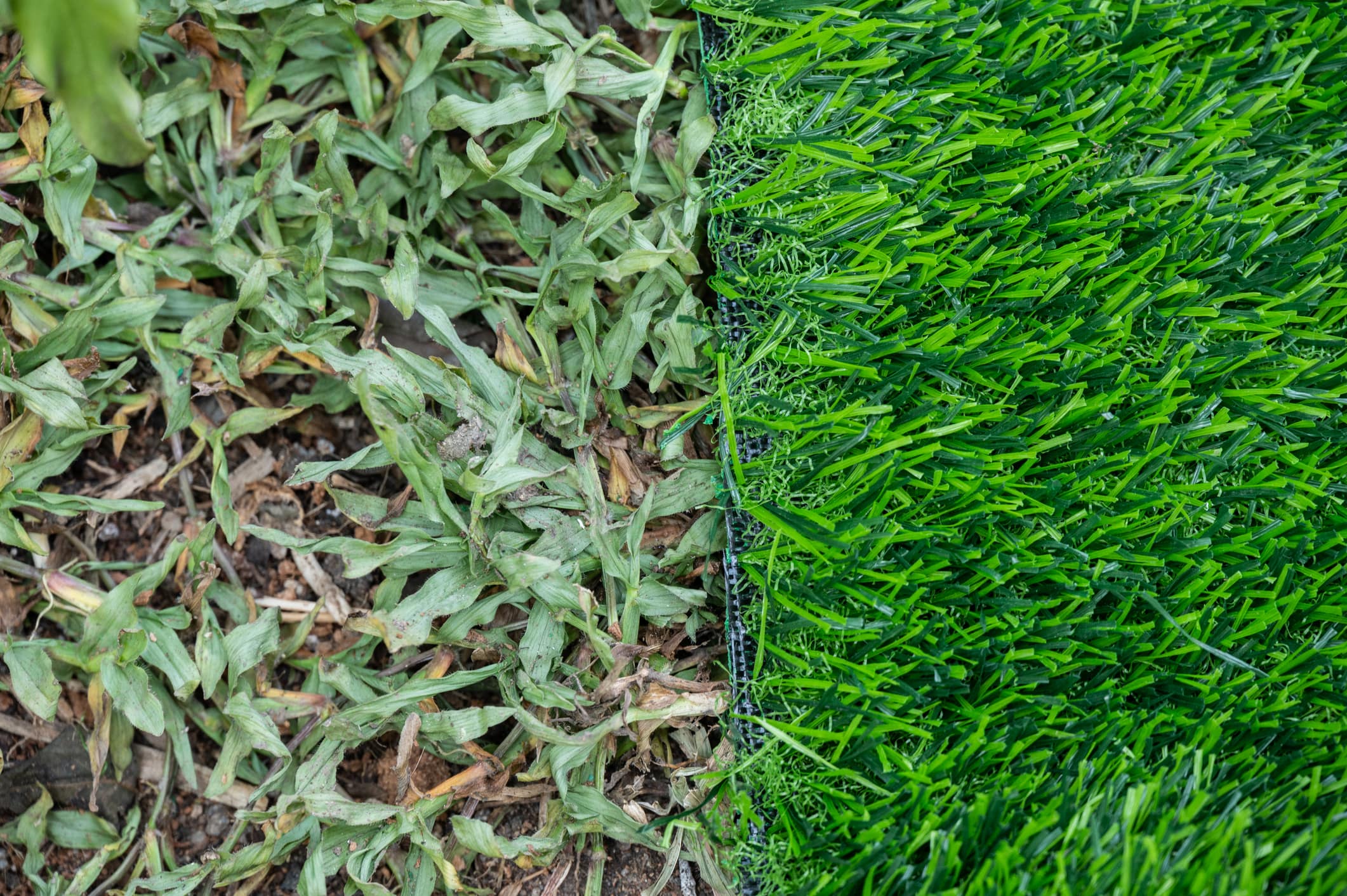 Artificial Turf or Natural Grass? Making the Eco-Friendly Choice
