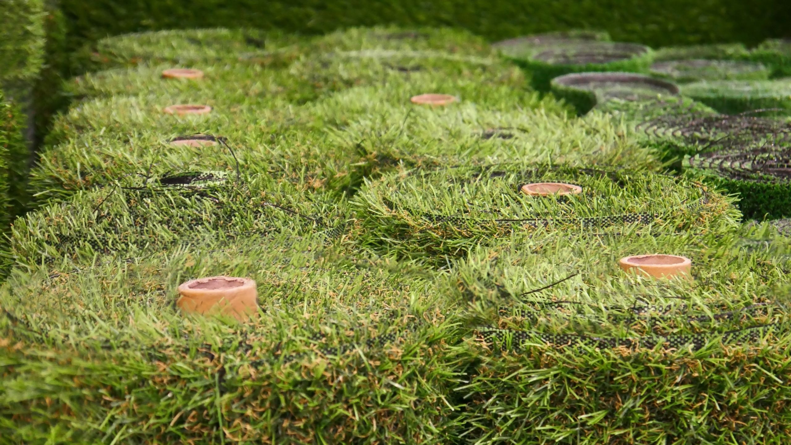 Artificial Grass in Sacramento: What Local Homeowners Should Know Before Buying Wholesale